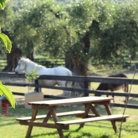 Honigtal Farmland Villa Agios Georgios Pagon Dış mekan fotoğraf