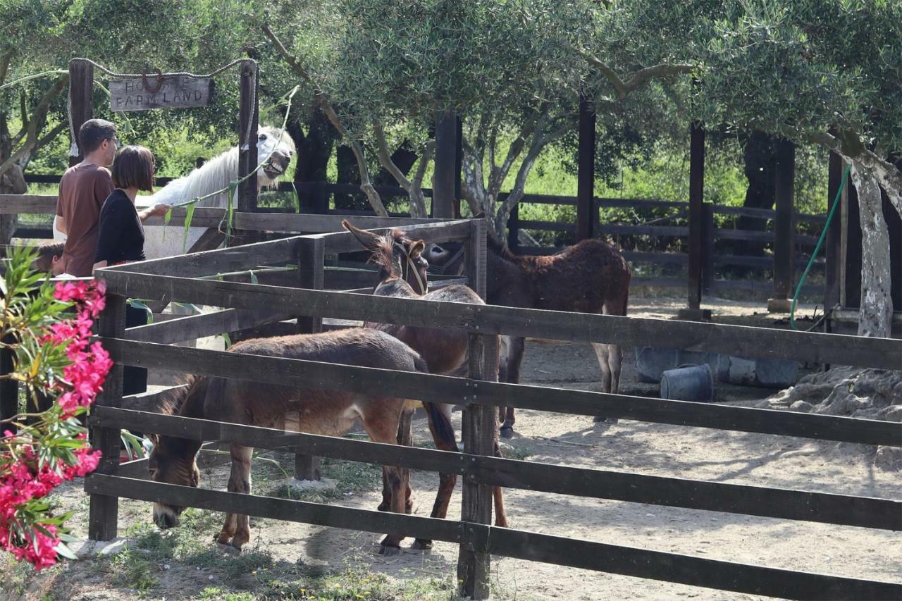 Honigtal Farmland Villa Agios Georgios Pagon Dış mekan fotoğraf